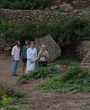 Filename=028.jpg
Filesize=3861KiB
Dimensions=4214x2804
Date added=Feb 16, 2024 028.jpg