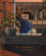 Filename=038.jpg
Filesize=926KiB
Dimensions=1109x1500
Date added=Feb 16, 2024 038.jpg