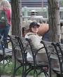 Filename=077.jpg
Filesize=1982KiB
Dimensions=3888x5184
Date added=May 10, 2024 077.jpg