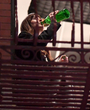 Filename=022.jpg
Filesize=2566KiB
Dimensions=2143x2321
Date added=May 18, 2024 022.jpg