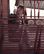 Filename=033.jpg
Filesize=2486KiB
Dimensions=2511x2944
Date added=May 18, 2024 033.jpg
