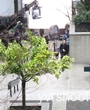 Filename=t006.jpg
Filesize=88KiB
Dimensions=590x390
Date added=Jun 18, 2025 t006.jpg