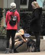 Filename=002.jpg
Filesize=1871KiB
Dimensions=2208x3318
Date added=Jun 18, 2025 002.jpg