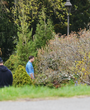 Filename=085.png
Filesize=4070KiB
Dimensions=1644x1734
Date added=Jun 19, 2025 085.png