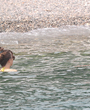 Filename=403.jpg
Filesize=1255KiB
Dimensions=3700x1899
Date added=Jun 19, 2025 403.jpg