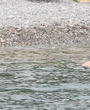 Filename=715.jpg
Filesize=1320KiB
Dimensions=3700x1908
Date added=Jun 19, 2025 715.jpg