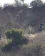 DJU00042.jpg