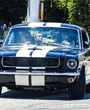 Filename=DJU00045.jpg
Filesize=2636KiB
Dimensions=2500x1667
Date added=Aug 17, 2025 DJU00045.jpg
