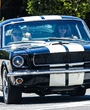 Filename=DJU00052.jpg
Filesize=2296KiB
Dimensions=2338x1559
Date added=Aug 17, 2025 DJU00052.jpg