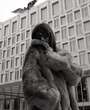 Filename=F1004949.JPG
Filesize=2037KiB
Dimensions=3504x5280
Date added=Aug 24, 2025 F1004949.JPG