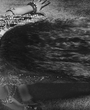 Filename=005.jpg
Filesize=587KiB
Dimensions=2669x2000
Date added=Feb 10, 2024 005.jpg