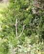 Filename=012.jpg
Filesize=110KiB
Dimensions=960x661
Date added=Feb 11, 2024 012.jpg